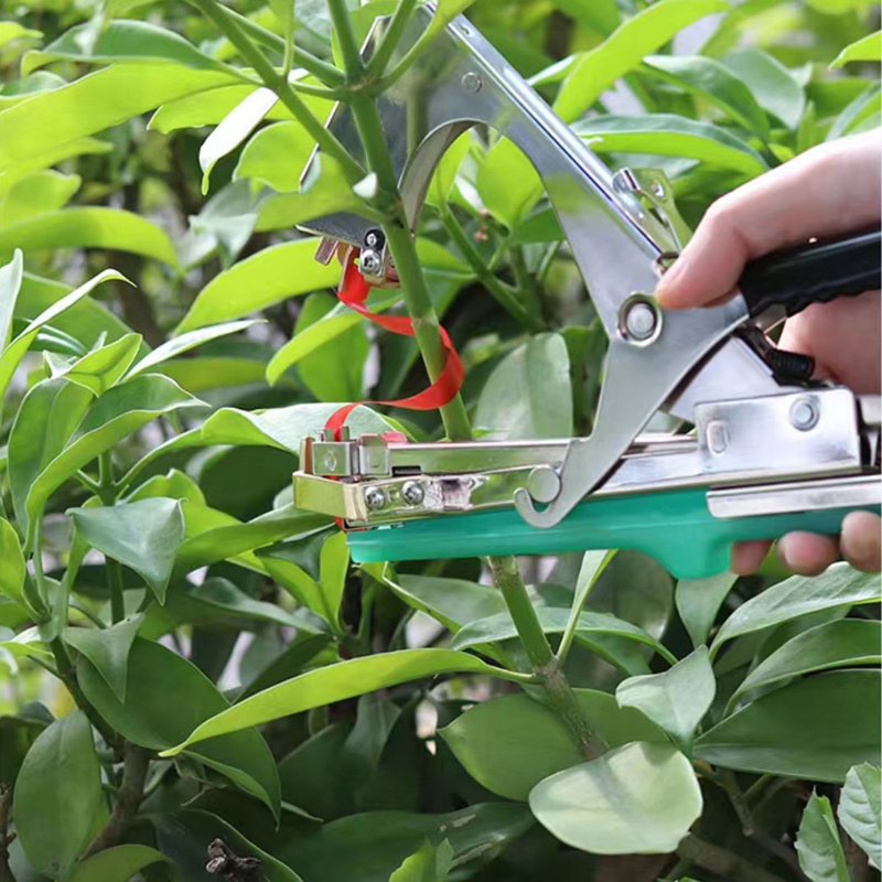 Gartenpflanzen-Bindemaschine:  – Plant Parent Kit Bewertung und Preis