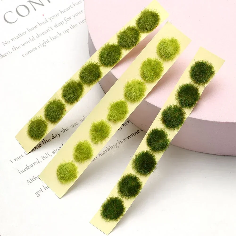 Simulation Miniatur Blumen Gra – Plant Parent Kit Bewertung und Preis